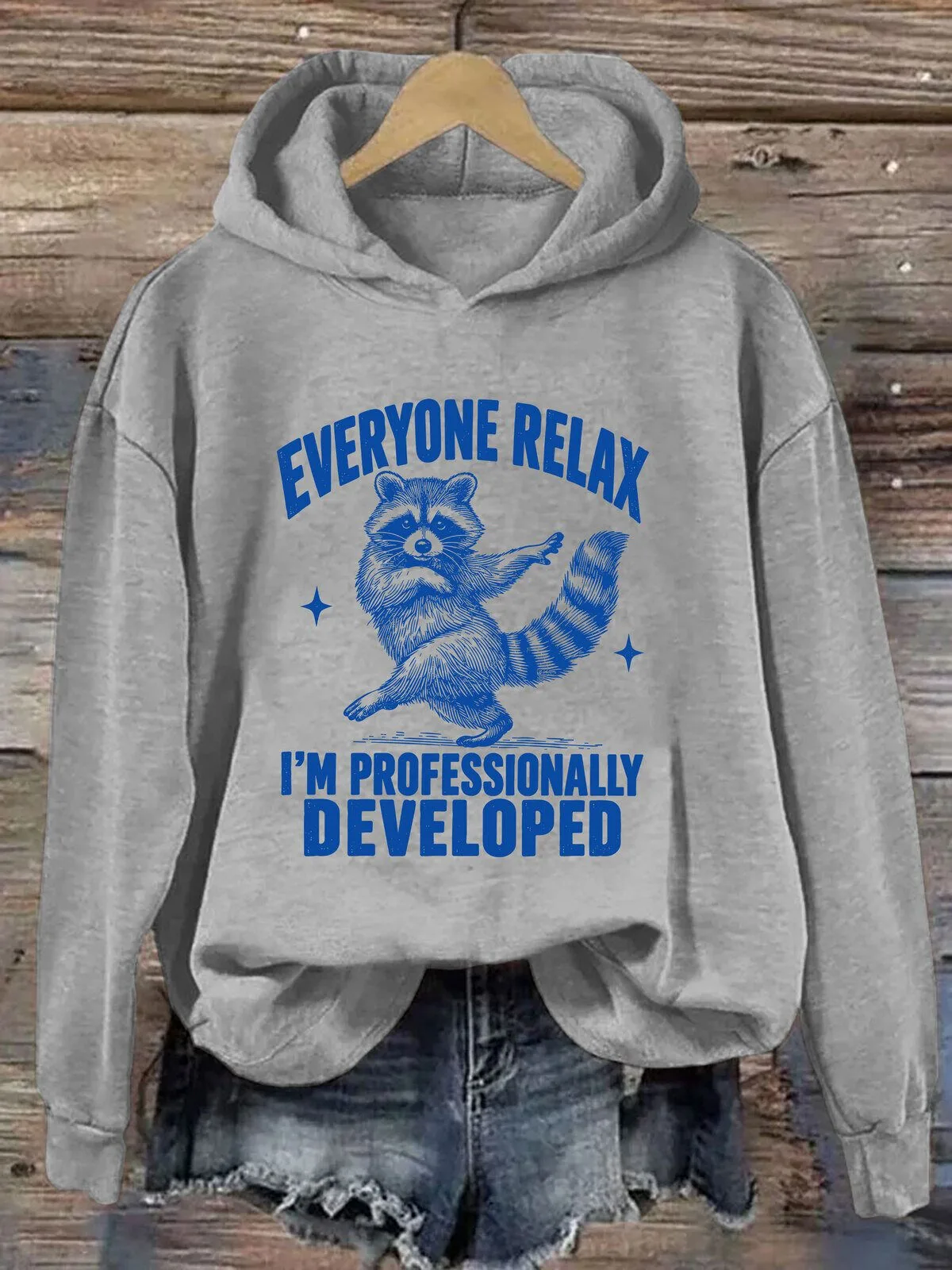 Funny Raccoon Everyone Relax I'm Professionally Developed Hoodie