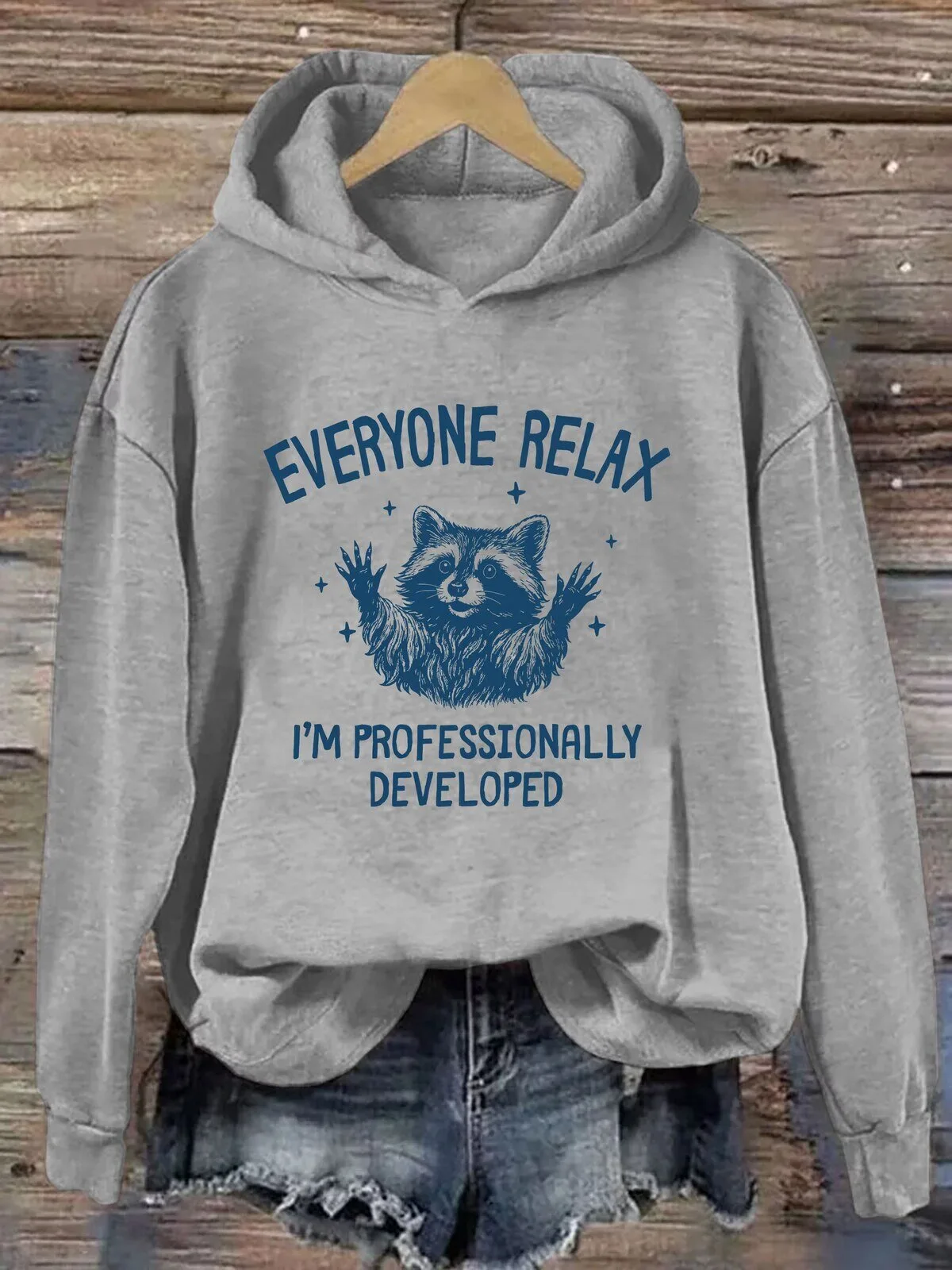 Professionally Developed Raccoon Funny Everyone Relax Gray Hoodie